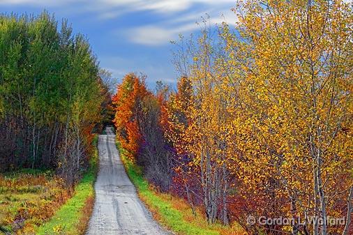 Autumn Backroad_23231.jpg - Photographed at Rideau Lakes, Ontario, Canada.